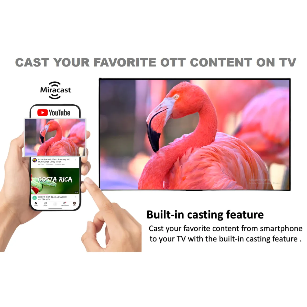 CAST YOUR FAVORITE OTT CONTENT ON TV