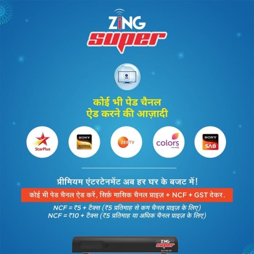 Dish TV Zing  Super FTA HD Box With 200+ FTA Channels & Services | No Recharge for 4 Years 