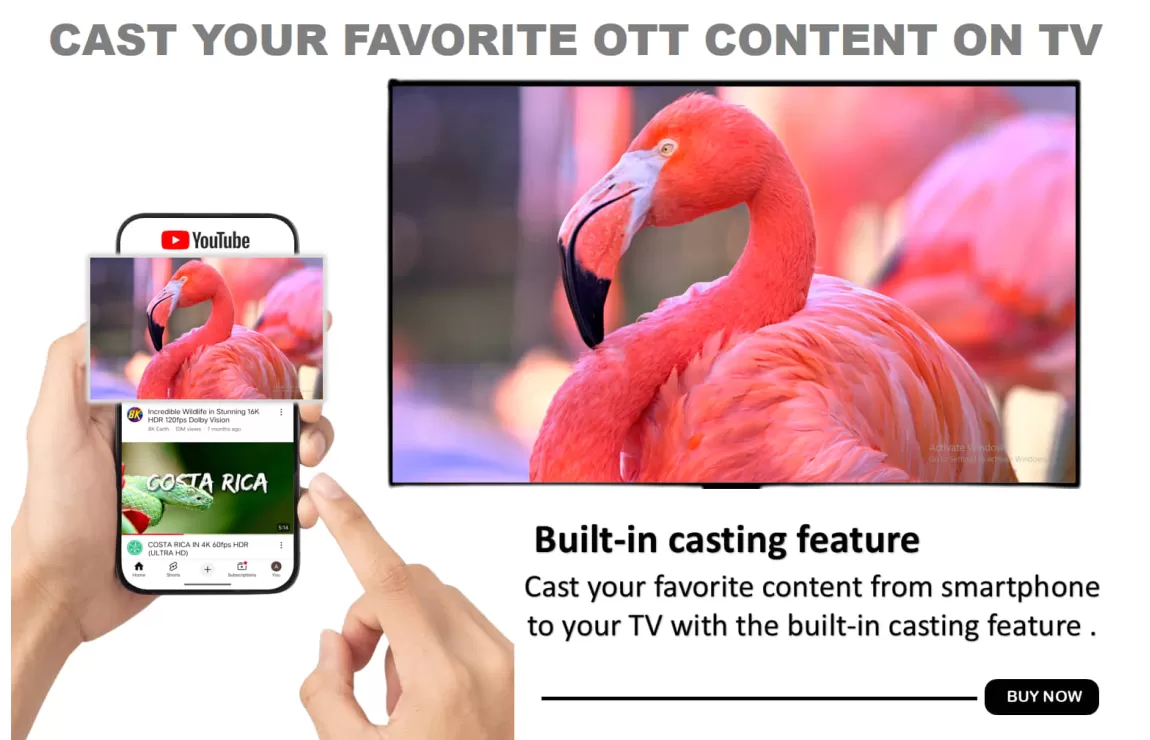 Buy SOLID HDS2X-7299 box 