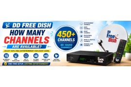 How Many Channels Are Available on DD Free Dish?